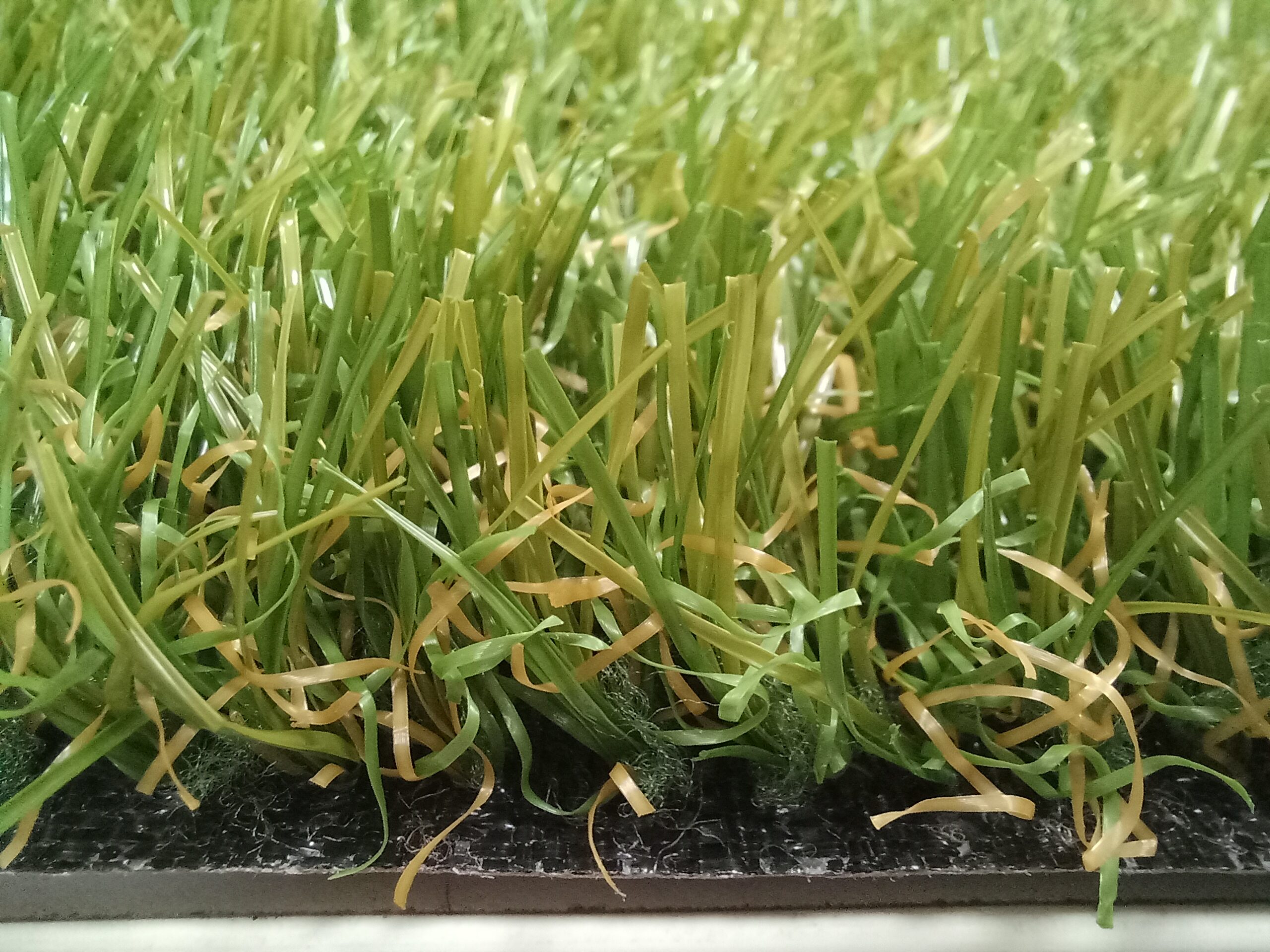 cesped para jardin compograss