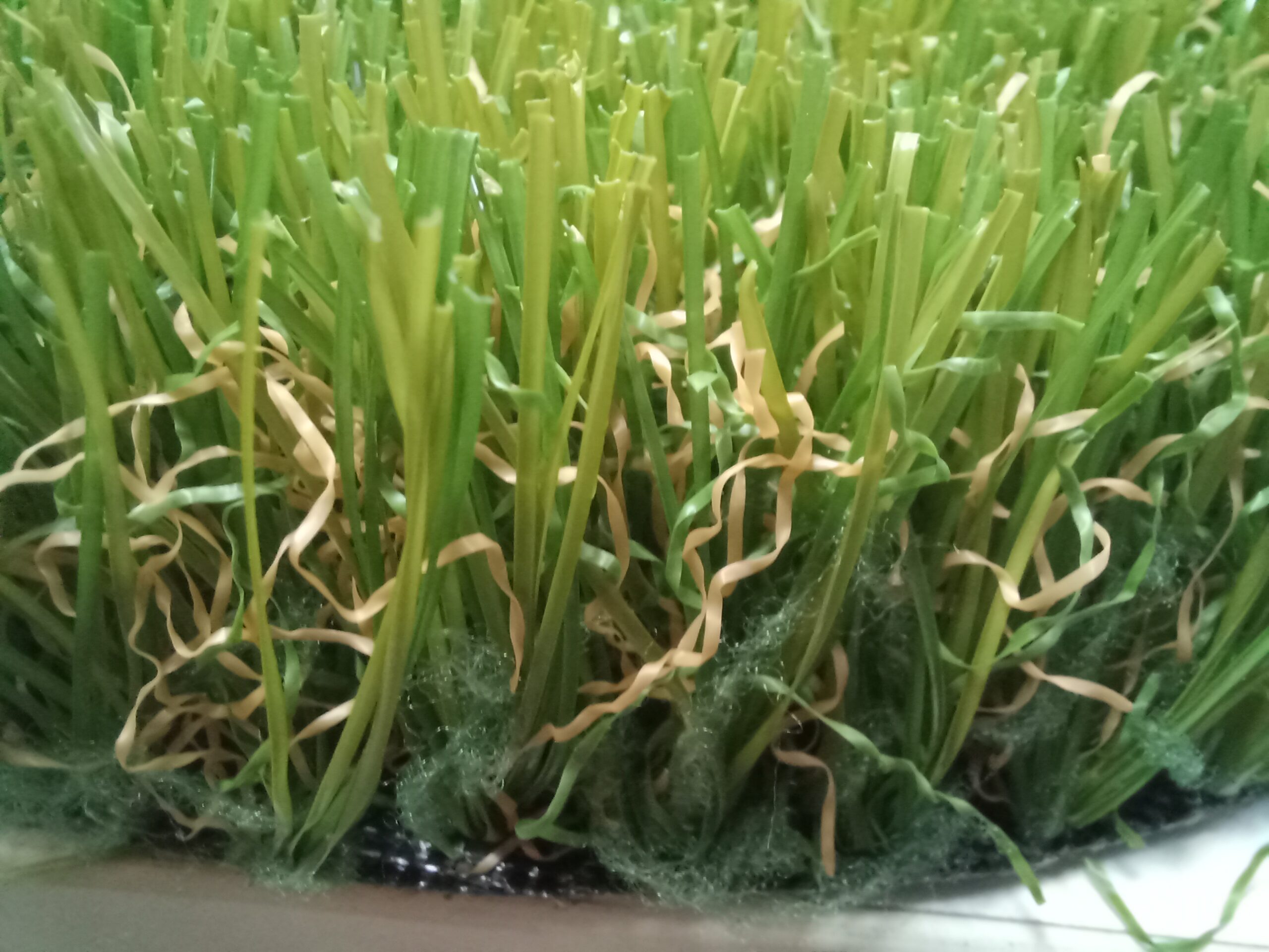 compograss cesped decorativo
